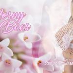 SG Parties - Horny Bees am 20.04 in Saarbrücken Angebote sexparty-und-gang-bang